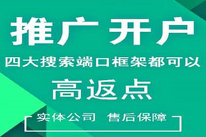 实战案例：SEM广告投放的优化策略